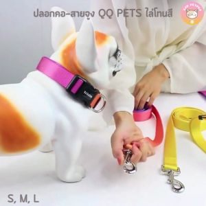พร้อมส่งจากไทย ปลอกคอสุนัข QQPETSรุ่นพรีเมี่ยม ไล่โทนสี สวยมาก C005