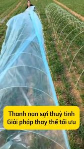 10 Thanh nan sợi thủy tinh (dài 1-3m nguyên cây) làm giàn cây leo khung vòm trồng rau gieo mạ thanh 5li và 8li Mạnh Phát