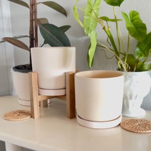 กระถางมินิมอล 2 บรรยากาศ สูง 6" รวมจาน มีให้เลือก กระถางต้นไม้ กระถางดินเผา กระถางดินขาว ขนาด 6" สูง 6