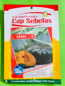 Benih Labu ABOGE isi 20gr dari Cap Sebelas terbaik