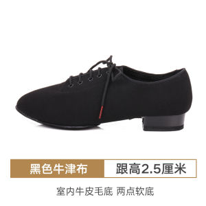 BD Modern Dance Shoes for Men Competition Performance Standard Dance Shoes Youth Adult 2 Point Bottom 309 Leather Upgraded Version