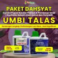 Pupuk Pestisida Topfarm / Pupuk Khusus Ubi Talas / Pupuk Umbi Talas Pelebat Buah / Pupuk Buah Super Lebat Talas / Obat Ubi Talas Anti Busuk Buah / Obat Hama Untuk Tanaman Talas / Pupuk Pembesar Ubi Talas. 