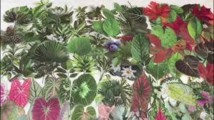 50pcs Transparent Green Plants Sticker Set Laptop Skateboard Water Bottle Notebook Stickers For School Supplies