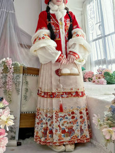 CHANMIAOYI | Winter Thickened Hanfu Horse Face Skirt