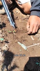 Alat Tanam Benih Biji-bijian Jagung Padi Kacang Kedelai Sayur