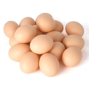 5Pcs Fake Egg Simulation Plastic Eggs Farm Animal Supplies Cages Accessories for Encouraging Hen Lay
