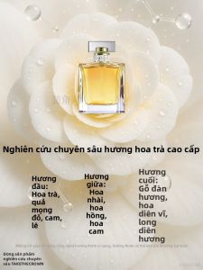 JVBV | Đệm Giày Mềm Mại Thoáng Mát Cho Nữ