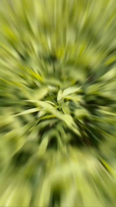 JOM BELAJAR SOLAT LENGKAP BERSERTA RUMI - edisi berwarna - B5 SIZE