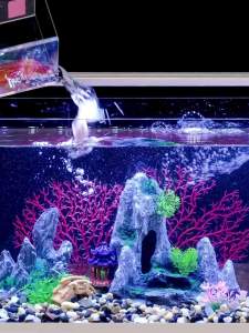 Fish Tank Set Aquarium Water Tank Fish Aquarium Small Fish Tank Aquarium Tank Fish Tank Full Set New Side Filter Fish Tank Three-Level Sewage Discharge 鱼缸