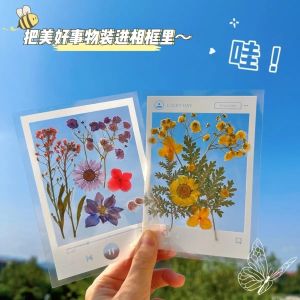 Handmade DIY Bookmarks Transparent Pressed Flower New Style Picture Frame Creative Autumn Leaf Specimen Plant Preservation