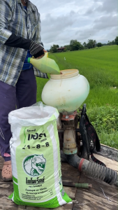 ปุ๋ยเคมี เทอร่า 21-8-8 ขนาด 25 กก. ไดโนเร็กซ์ สูตรบำรุงฟื้นต้น เร่งใบ แตกกอ แตกราก ดินสมบูรณ์ พืชแข็งแรง เหมาะกับข้าว อ้อย มันสำปะหลัง ข้าวโพด และไม้ผล