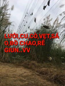 lưới tàng hình 60m 7p cao 6m 5 viền 4 túi chuyên cucòvẹtrẽ giun..vv