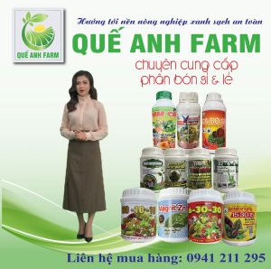 Phân bón Kích Hoa Mai Vàng (10-60-10) hũ 100g
