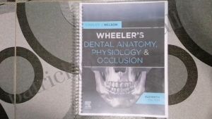 Wheelers Dental Anatomy Physiology and Occlusion 11th Edition