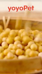 coolpet 🐶 7 ลิตร Cat litter เกลือทะเล ทรายเต้าหู้ ออร์แกนิค100% ผลิตจากกากถั่วเหลืองธรรมชาติ ทรายแมว 7L ทรายแมวส่งฟรี