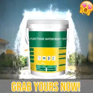 Mighty Sealant 1kg Waterproof Adhesive Paste with Free Brush - Transparent Easy Application Fast Drying for Roof & Cement