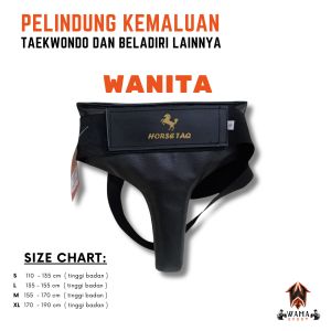 HORSE TAQ PELINDUNG KEMALUAN ( SINCA ) UNTUK LATIHAN BELADIRI