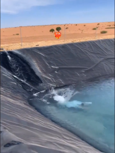 【300ไมครอน】พลาสติกปูบ่อ ผ้ายางปูบ่อปลา HDPE เสริม UV หนา ผ้าใบปูบ่อ ผ้ายางบ่อสีดำ ผ้าใบบ่อ ฝาบ่อพลาสติก