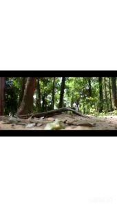 NEW PROMO MURAH MAINAN ANAK MOBILAN REMOTE CONTROL ROCK CRAWLER UPMARKET 1:18 RDR 1073