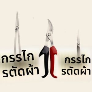 กรรไกรตัดกิ่งกันลื่นสแตนเลสสำหรับสวน - ที่เก็บผลไม้สำหรับองุ่น สตรอว์เบอร์รี - กรรไกรตัดแต่งกิ่งสำหรับเครื่องมือการยึดต้นผลไม้