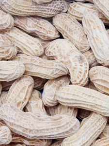 Colorful Peanuts Snacks Salted Dry Wedding Celebration Hotel Party Leisure Small Nuts Roasted Processed Non-Shelled Peanuts