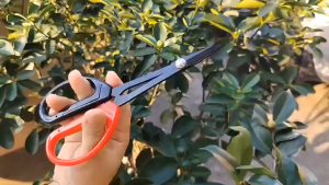 Grape Pruning Scissors Stainless Steel Long Pointed Garden Scissors Gardening Tools