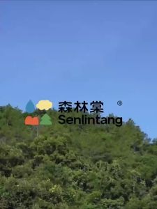 SENLINTANG | UPF50+ Lightweight Cool Sense Sun Protection Cloak