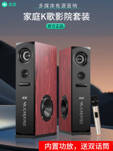 Bluetooth Karaoke Microphone Speaker System No Amplifier Needed for TV Connection Home KTV Sound System Wireless Handheld Mic