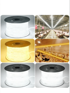 PAIMIJI | Ultra Bright Specialized Farming Lighting 220V