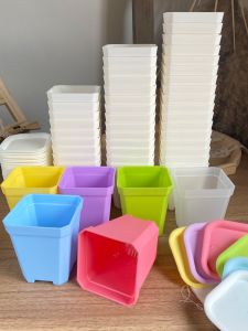 Transparent Small Black Square Thickened Octagonal Flowerpot Small White Basin Succulent Plant Nursery Basin Leaf Insert Basin Plastic Ten Square Basin