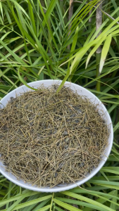 [Túi trà khô 500gram] Giảo cổ lam khô 5 lá [Thơm Sạch] - Tấn Phát - Hàng sạch chuyên dùng để pha trà - Hỗ trợ giảm mỡ máu hiệu quả