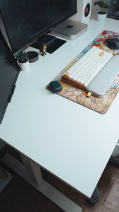 [ 16 Pro Max / 16 Pro ] READYSTOCK Caudabe Paragon with Camera Control Button Magnetic Case