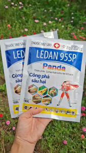 [VTNN TIEN KHOA] LEDAN 95SP 100G Chứa Cartap Hydrochloride 95% Thuốc Trừ Sâu Trên Lúa