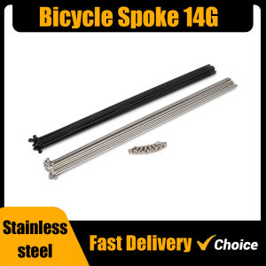 10PCS Customized Custom Made Spoke Radius knitting Needle Stainless Steel 14G Black Bicycle Electric Bike Copper Nipple