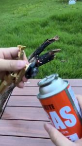 Copper Butane Torch: A Professional Chef's Essential Tool