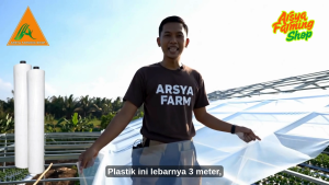 Plastik UV Untuk Atap Green House Lebar 3 Meter Harga Per Meter