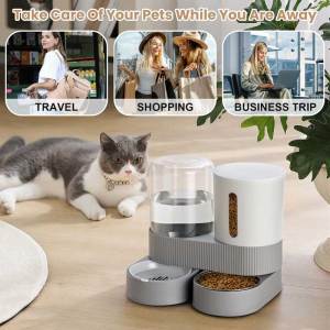 Lovinland Pet 2 in 1 Pack Automatic Cat Feeder Stainless Steel Water Dispenser Gravity Food Feeder and Waterer Set with Pet Food Bowl for Small Medium Kitten Puppy Pets Large Capacity Grey