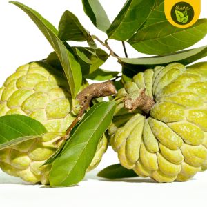 50 seeds for planting binhi pantanim atis sweet apple fruit