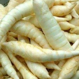 Umbi Garut Segar 1Kg Obat Asam Lambung GRED