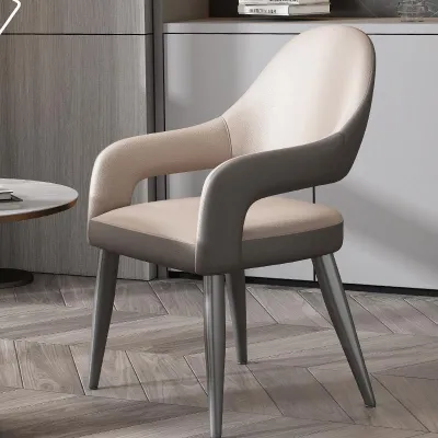 MOLORE | Italian Luxury Nordic Style Dining Chair For Relaxing Discussion