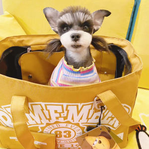 Edenpetz กระเป๋าใส่สัตว์เลี้ยงกระเป๋าสุนัขแมวลูกสุนัขสะพายไหล่เดินทางรับน้ำหนักได้7กก. กระเป๋าถือระบายอากาศได้ดีใส่สบายสำหรับแมวสุนัข