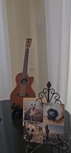 KAWES Wooden Foldable Holder Stand: A Collapsible Vertical Ukulele Display Rack