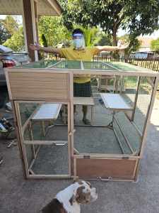 กรงแมวงาน DIY พื้นโล่งขนาด 120*100*100ซม.