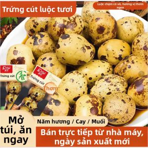 Trứng Chim Cút Gia Vị & Muối Sẵn Ăn Gói Nhỏ