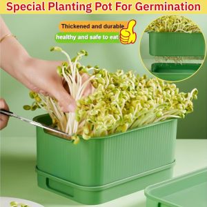 Pot Seedling Germination Pot Sprouts Large Capacity Food Grade Seedling Special Basin For Home