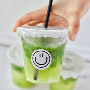 Internet Celebrity Pet Milk Tea Cup Ins Style Disposable Plastic Transparent 350 Cool Drinks Cup 500ml Coffee Cup with Lid