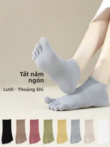 MiiOW | Tất lưới mỏng mùa hè thấm hút mồ hôi kháng khuẩn thoáng khí không gân năm ngón cho nữ Tất lưới thoáng khí chống mùi kháng khuẩn