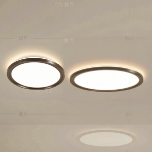 Minimal Creative Ceiling Light LED