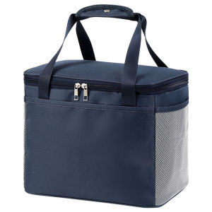 JTL Fashionable and Functional Waterproof Insulated Lunch Picnic Bag for Professionals and Students TB06