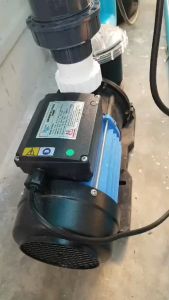 【Thailand Stock】NexPool STP ปั้มสระว่ายน้ำ Swimming Pool Pump 1.2 HP/1PH/220V ปั๊มสระว่ายน้ำ 1.2 แรงม้า /1.0 แรงม้า 220v รุ่น STP120